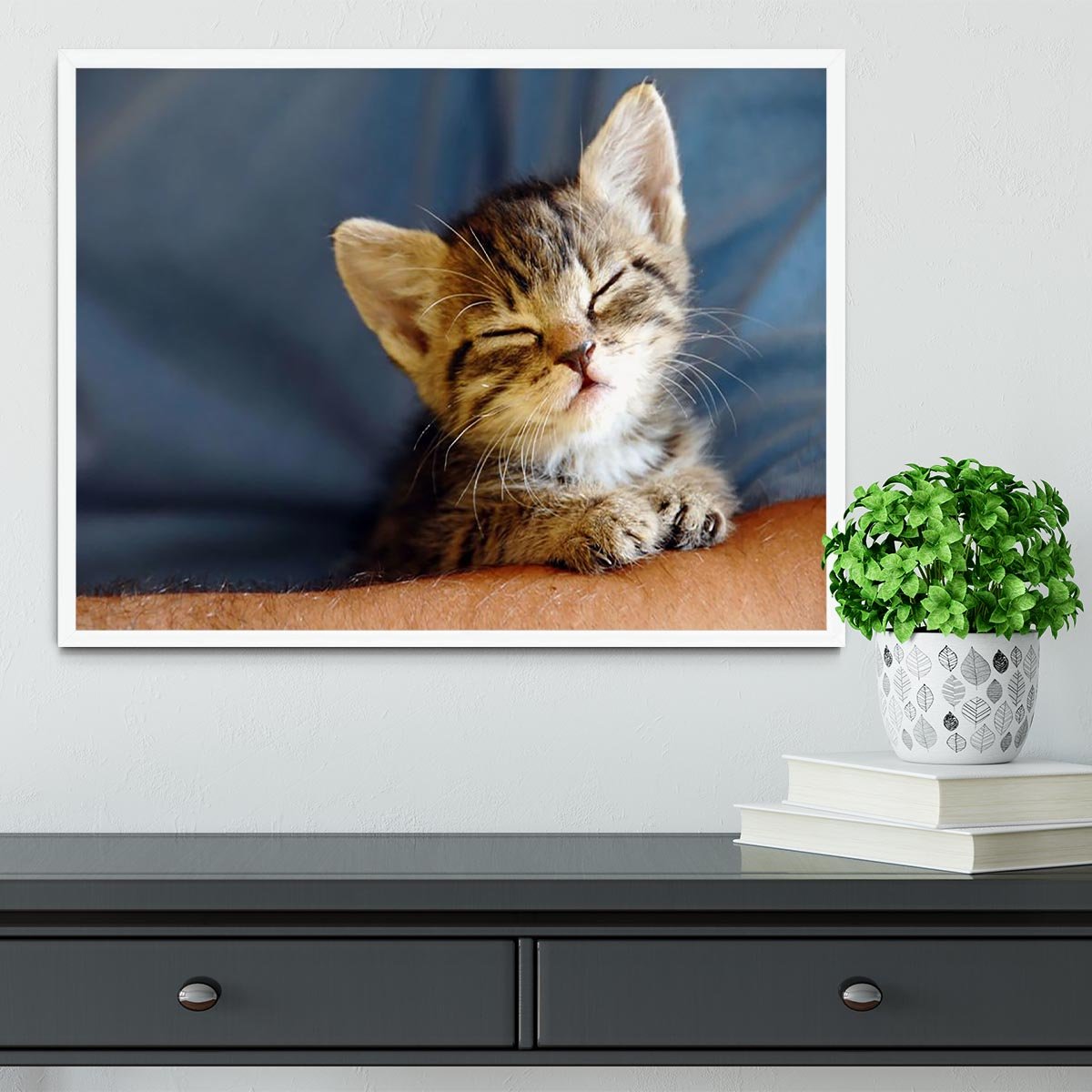 Little cat sleeping on human hand closeup Framed Print - Canvas Art Rocks -6