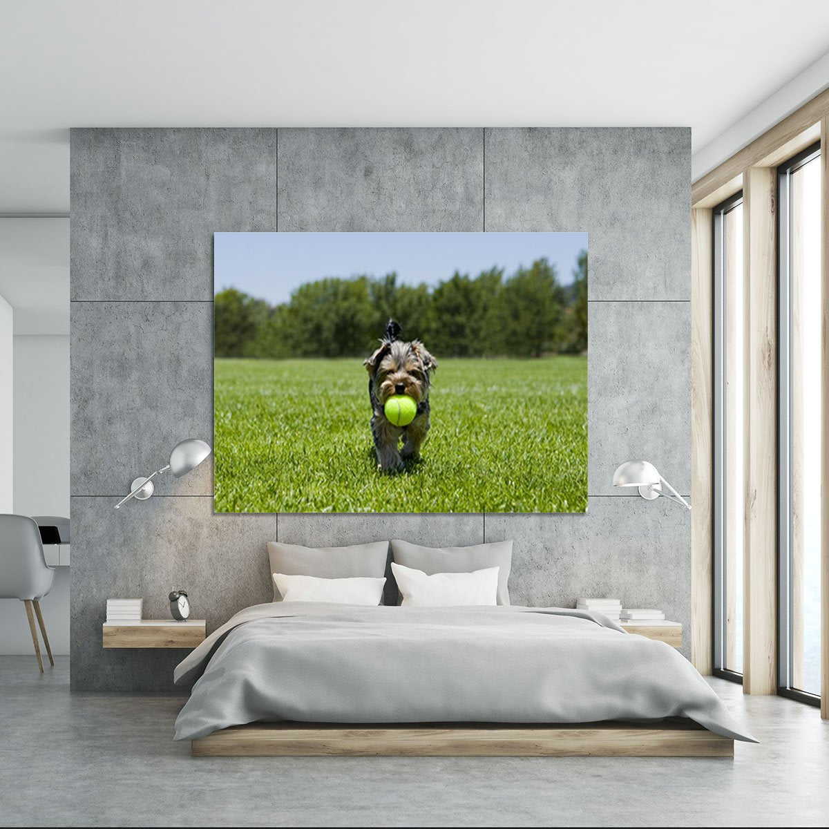 Little puppy running with a ball Canvas Print or Poster