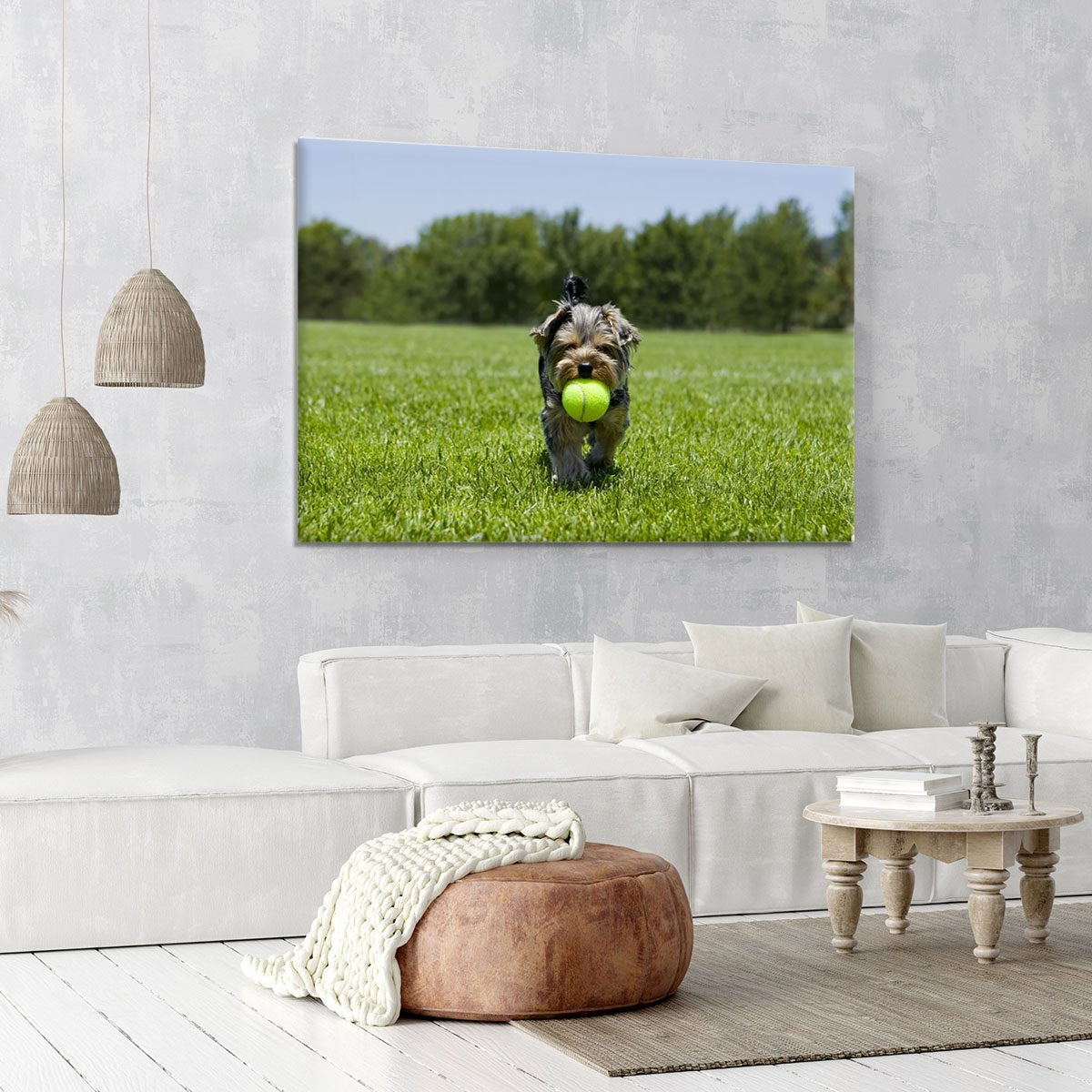 Little puppy running with a ball Canvas Print or Poster