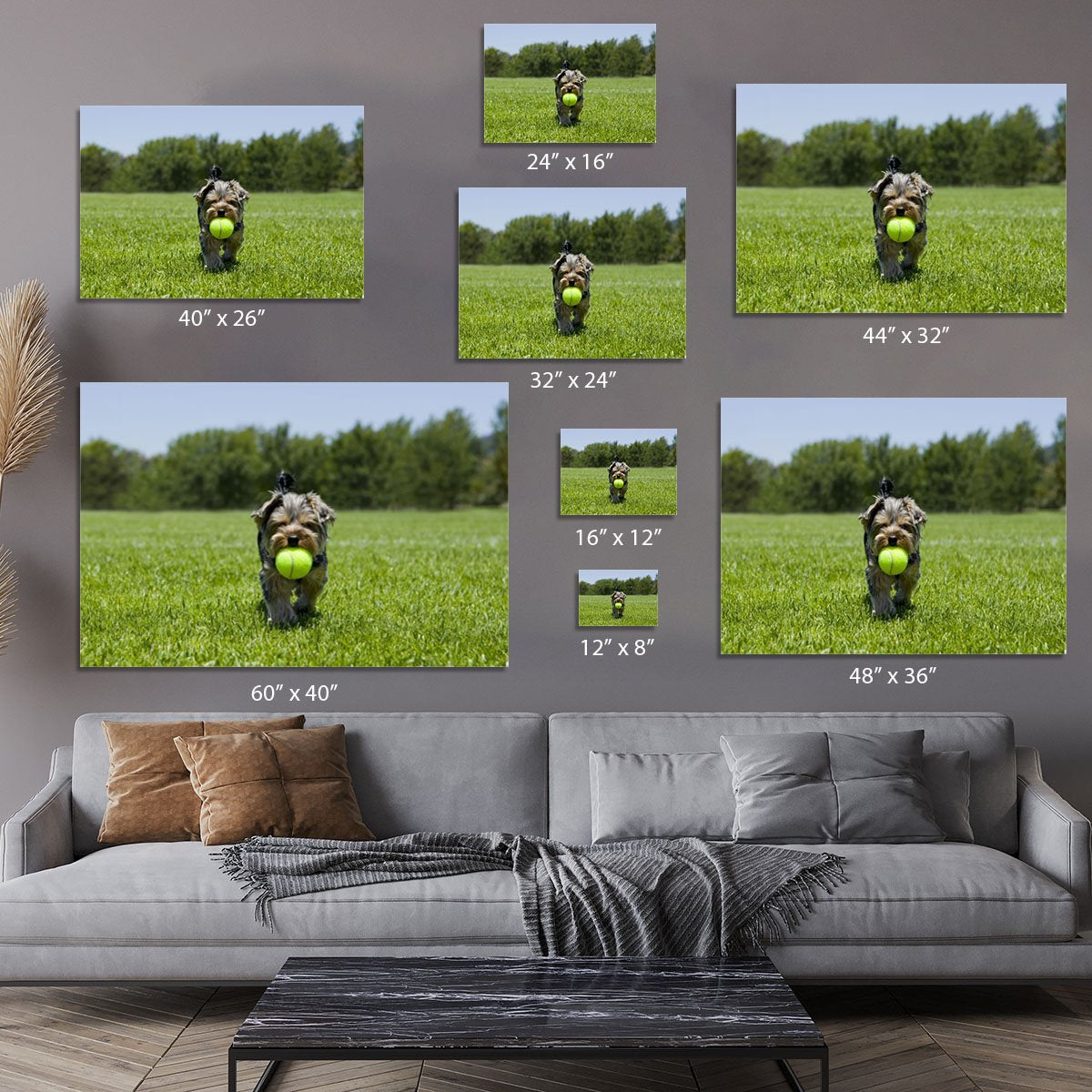Little puppy running with a ball Canvas Print or Poster