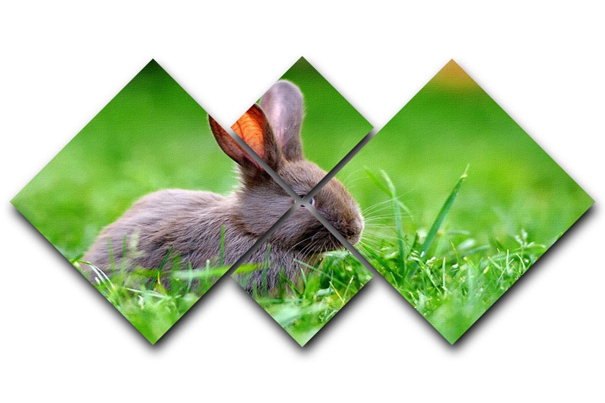 Little rabbit on green grass 4 Square Multi Panel Canvas - Canvas Art Rocks - 1