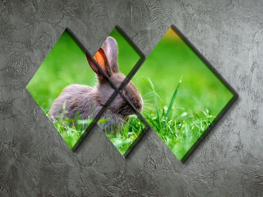 Little rabbit on green grass 4 Square Multi Panel Canvas - Canvas Art Rocks - 2