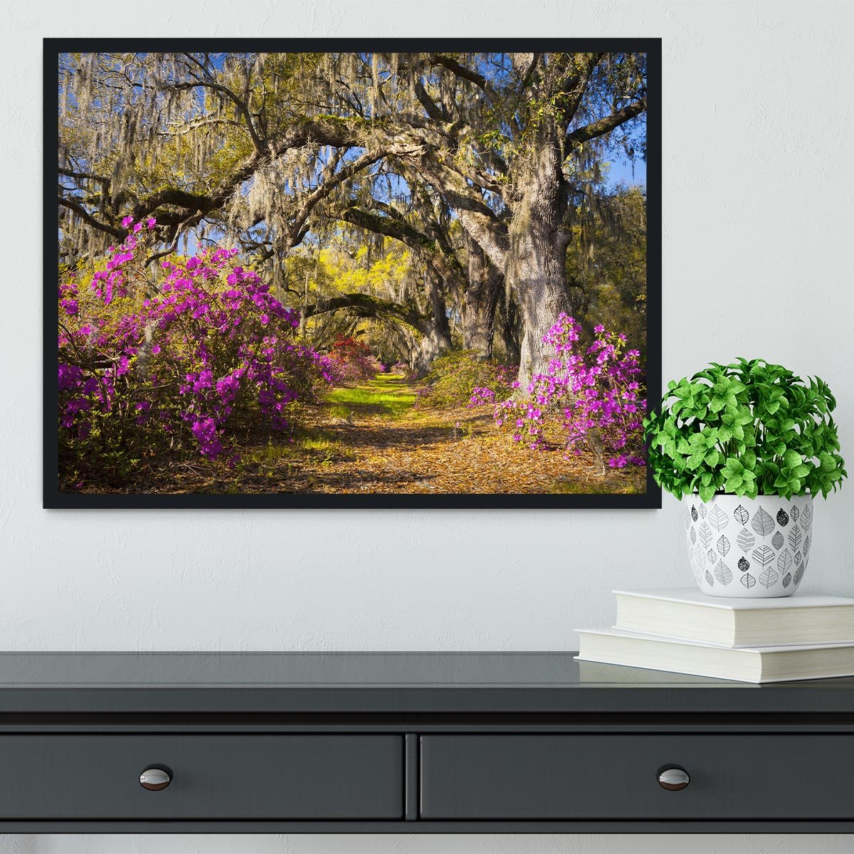 Live oak trees in morning sunlight Framed Print - Canvas Art Rocks - 2