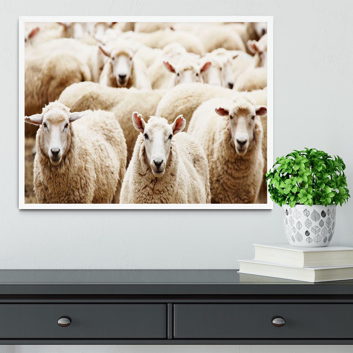 Livestock farm herd of sheep Framed Print - Canvas Art Rocks -6