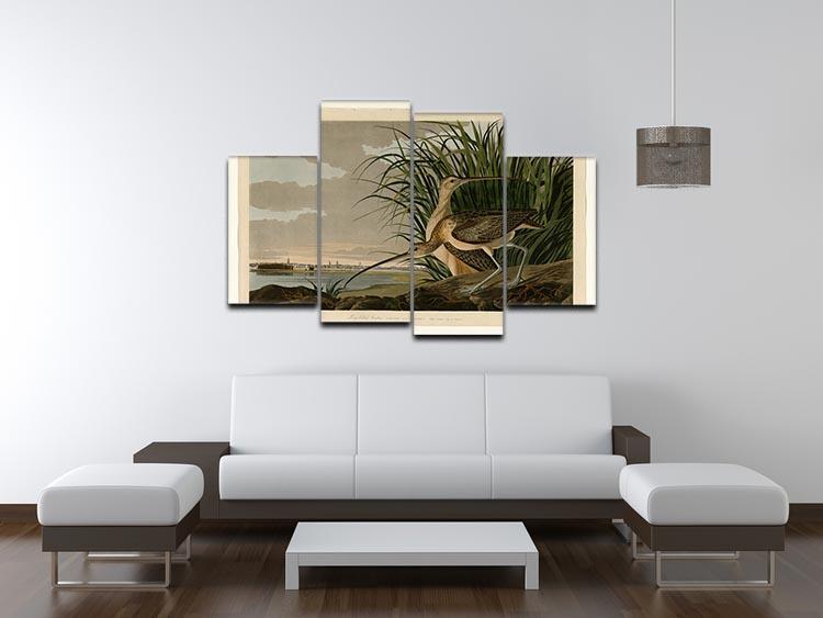 Long billed Curlew by Audubon 4 Split Panel Canvas - Canvas Art Rocks - 3