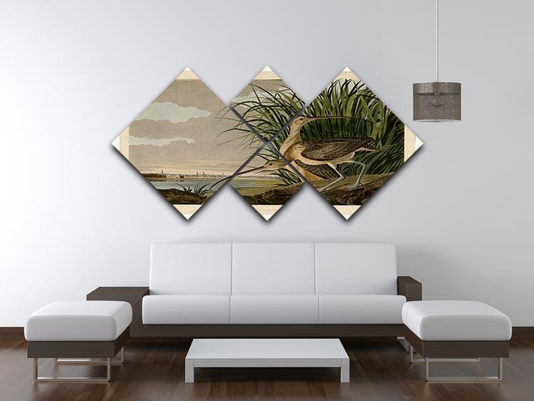 Long billed Curlew by Audubon 4 Square Multi Panel Canvas - Canvas Art Rocks - 3