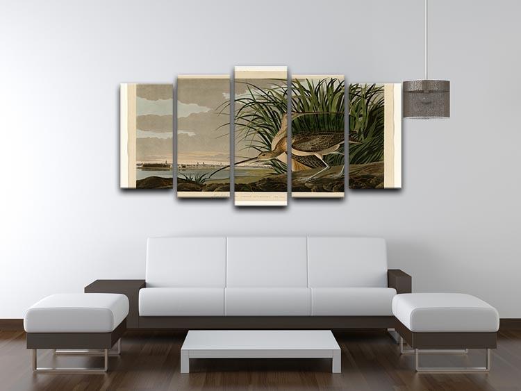 Long billed Curlew by Audubon 5 Split Panel Canvas - Canvas Art Rocks - 3