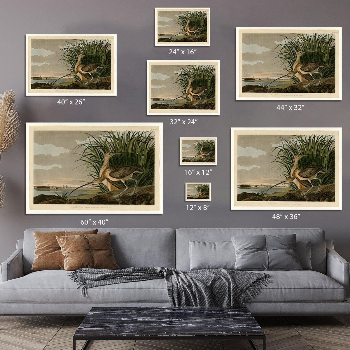 Long billed Curlew by Audubon Canvas Print or Poster