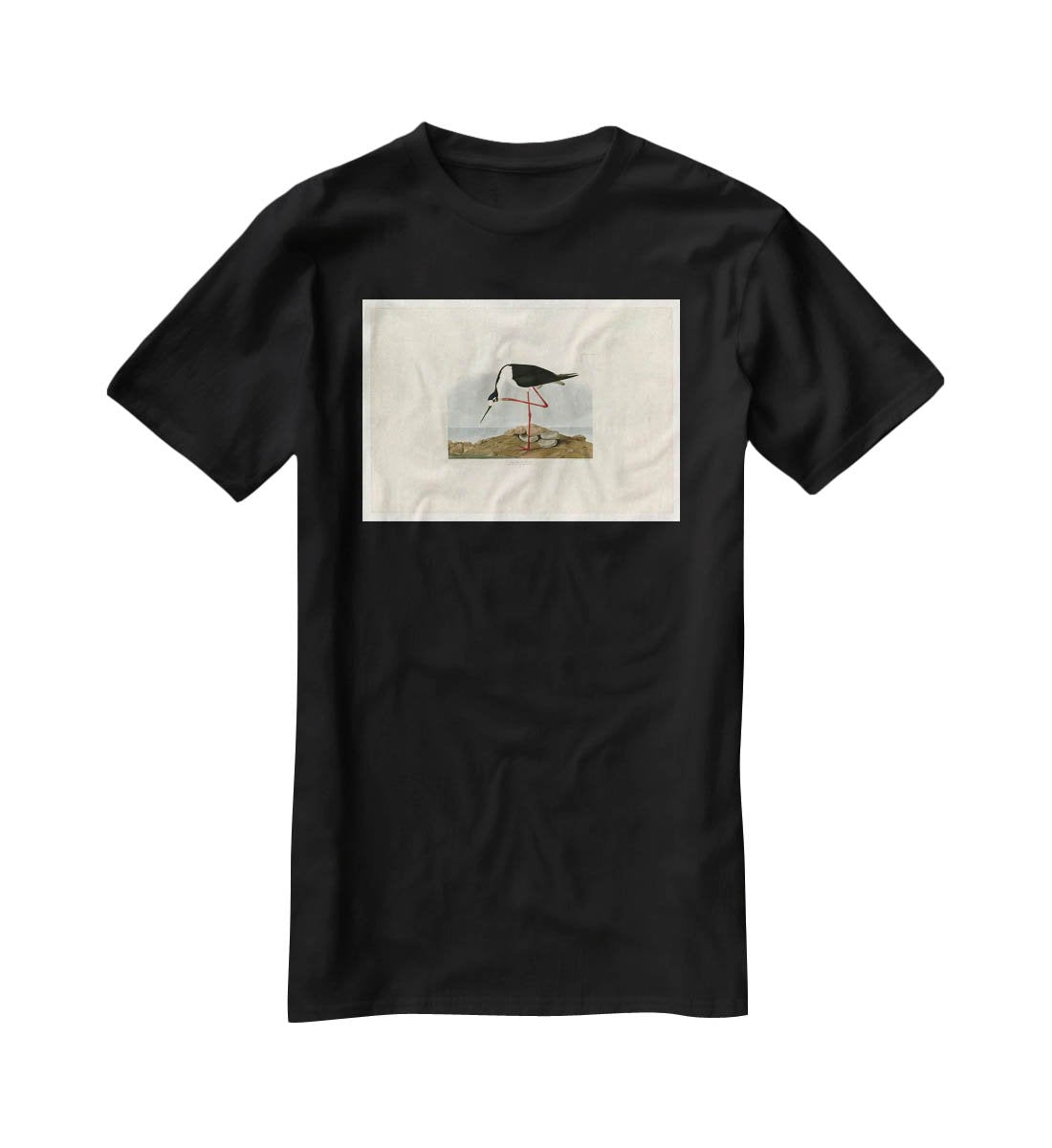 Long legged Avocet by Audubon T-Shirt - Canvas Art Rocks - 1
