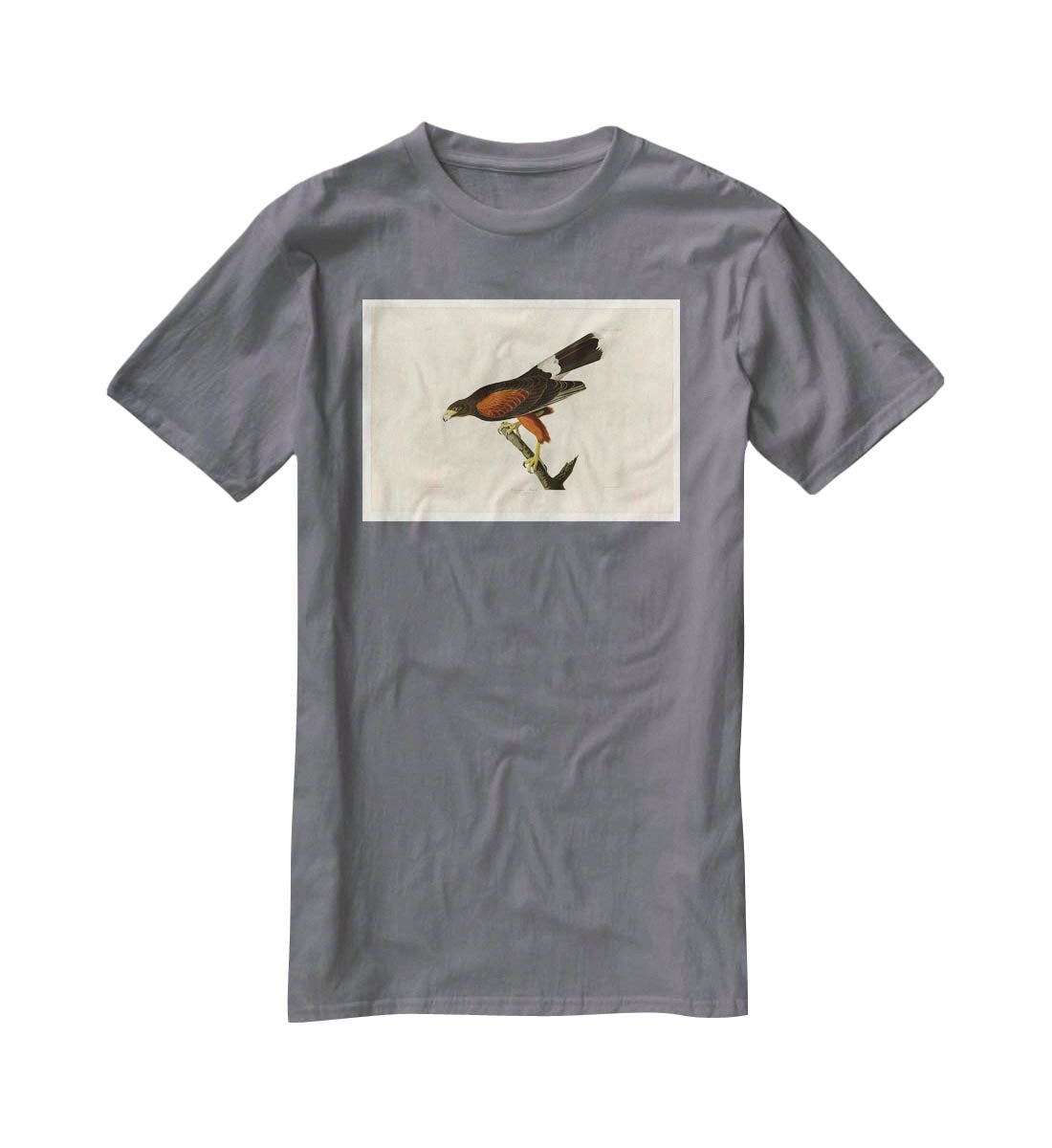 Louisiana Hawk by Audubon T-Shirt - Canvas Art Rocks - 3