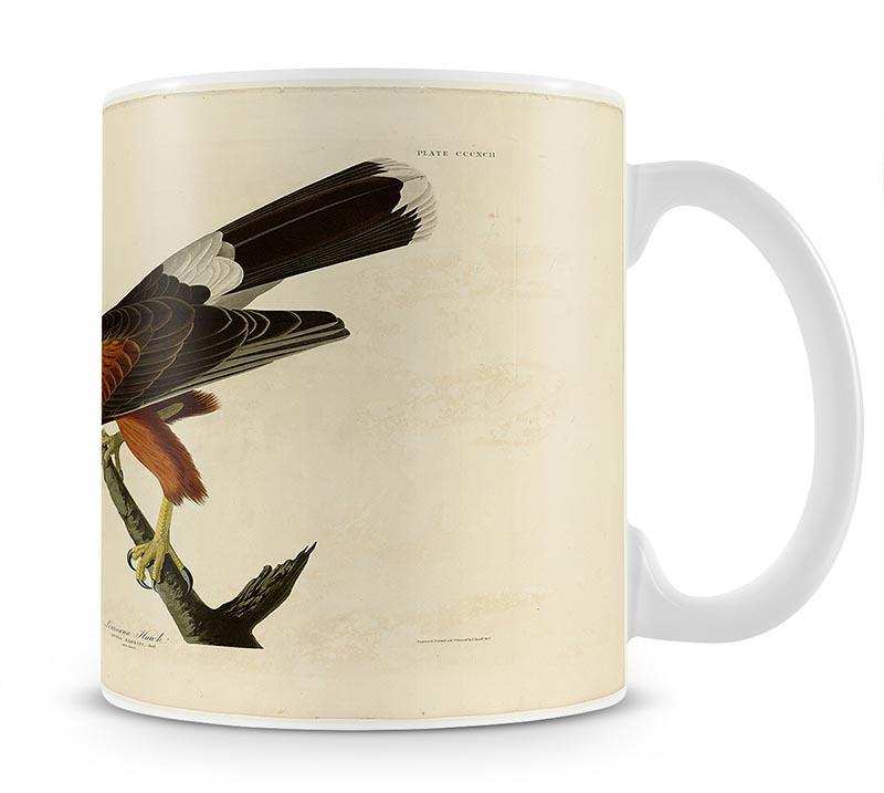 Louisiana Hawk by Audubon Mug - Canvas Art Rocks - 1
