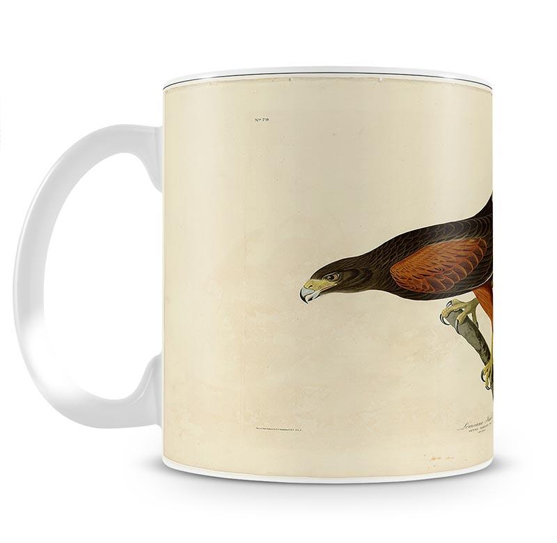 Louisiana Hawk by Audubon Mug - Canvas Art Rocks - 1