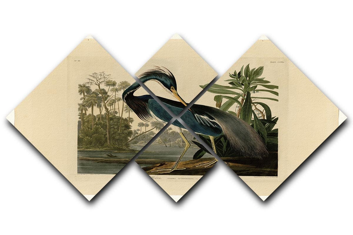 Louisiana Heron by Audubon 4 Square Multi Panel Canvas - Canvas Art Rocks - 1