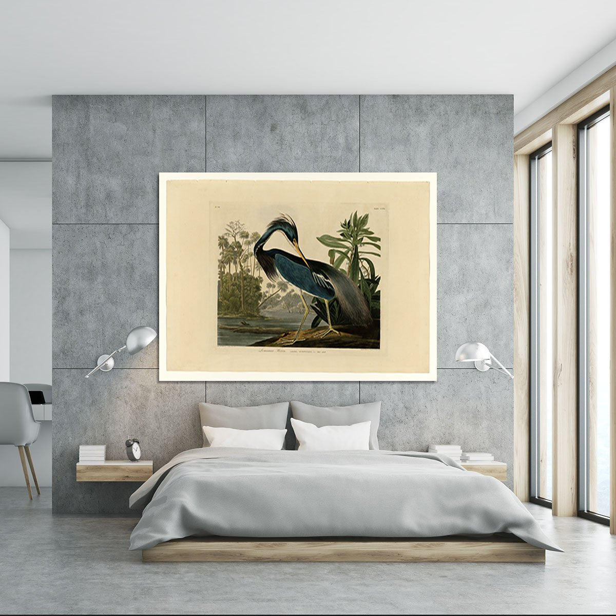 Louisiana Heron by Audubon Canvas Print or Poster
