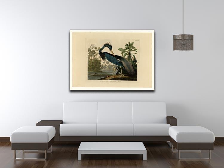 Louisiana Heron by Audubon Canvas Print or Poster - Canvas Art Rocks - 4