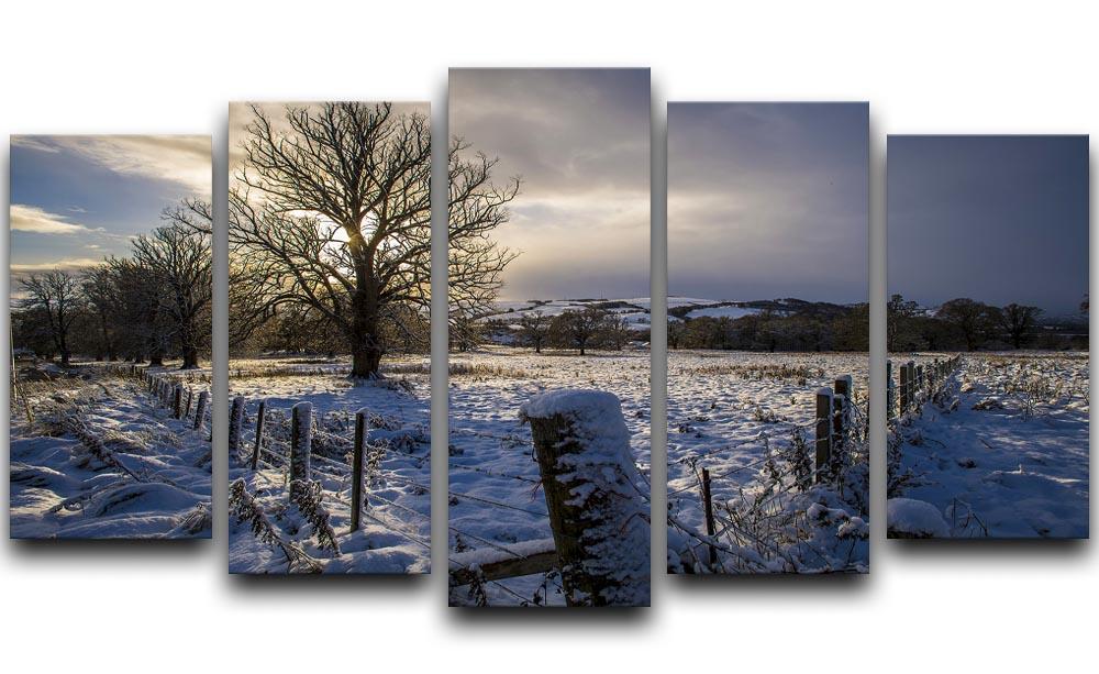 Low light on a winters day 5 Split Panel Canvas - Canvas Art Rocks - 1