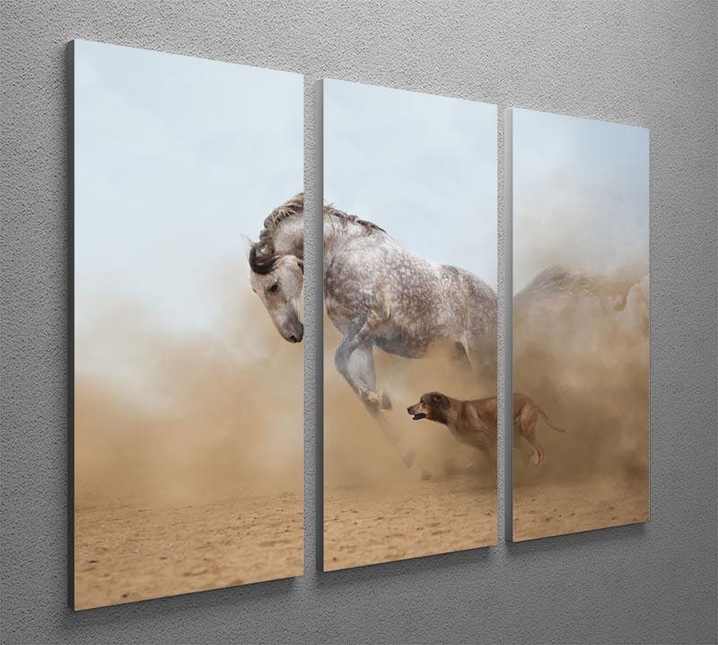Lusitanian horse is playing with the Rhodesian Ridgeback dog 3 Split Panel Canvas Print - Canvas Art Rocks - 2