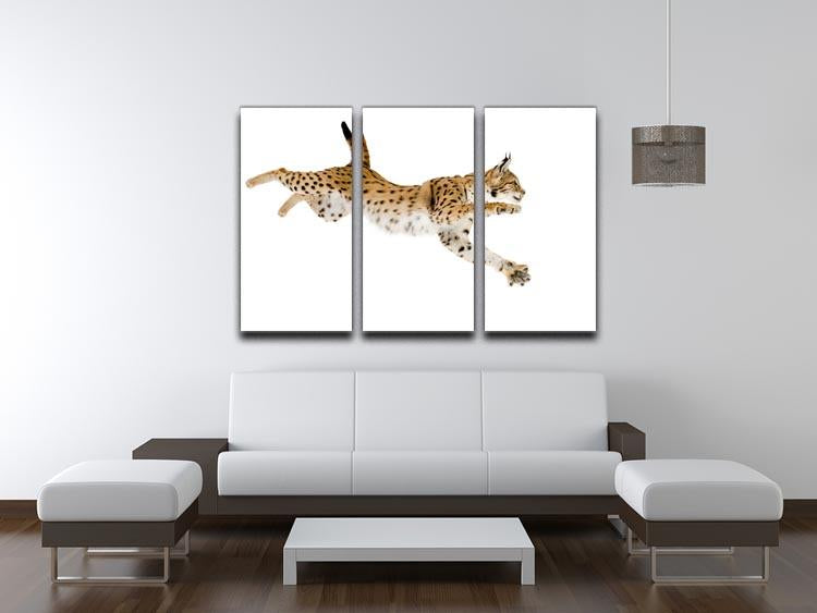 Lynx in front of a white background 3 Split Panel Canvas Print - Canvas Art Rocks - 3