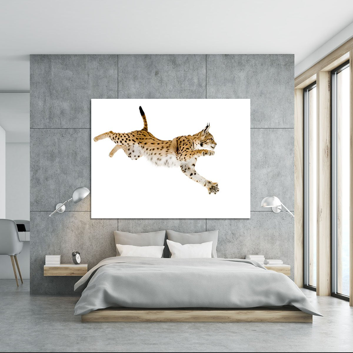 Lynx in front of a white background Canvas Print or Poster