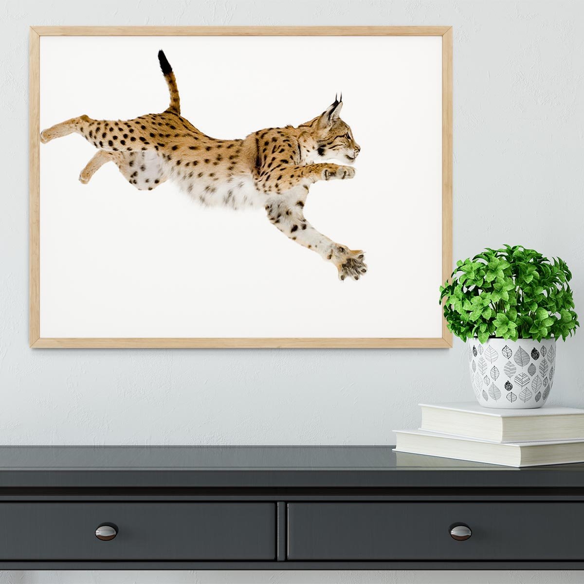 Lynx in front of a white background Framed Print - Canvas Art Rocks - 4