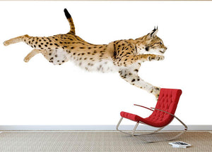 Lynx in front of a white background Wall Mural Wallpaper - Canvas Art Rocks - 2