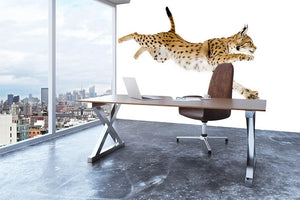 Lynx in front of a white background Wall Mural Wallpaper - Canvas Art Rocks - 3