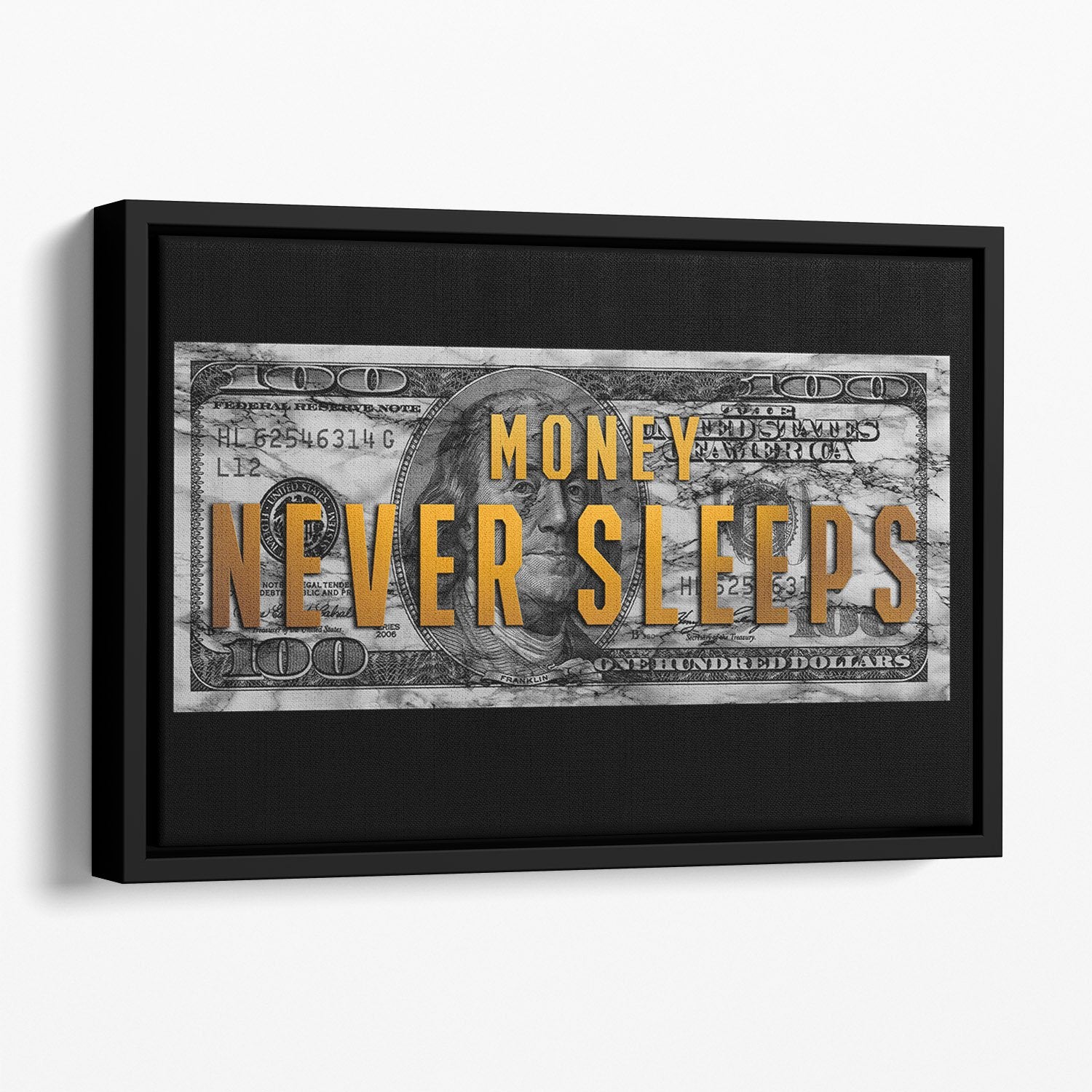 Money Never Sleeps Canvas