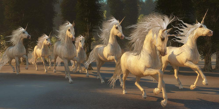 Magical Unicorn Forest Wall Mural Wallpaper