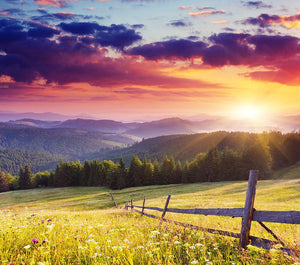 Majestic sunset in Carpathian Wall Mural Wallpaper - Canvas Art Rocks - 1