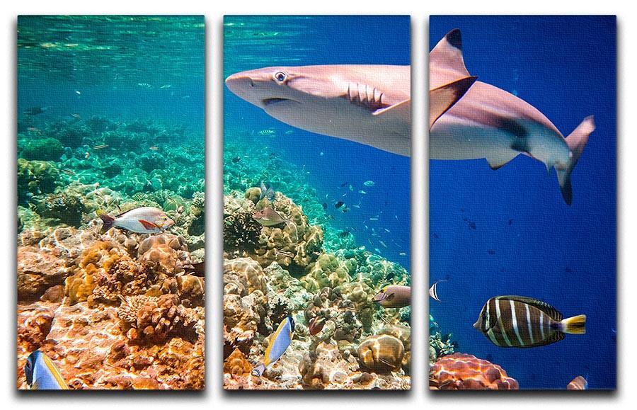 Maldives Indian Ocean coral reef 3 Split Panel Canvas Print - Canvas Art Rocks - 1