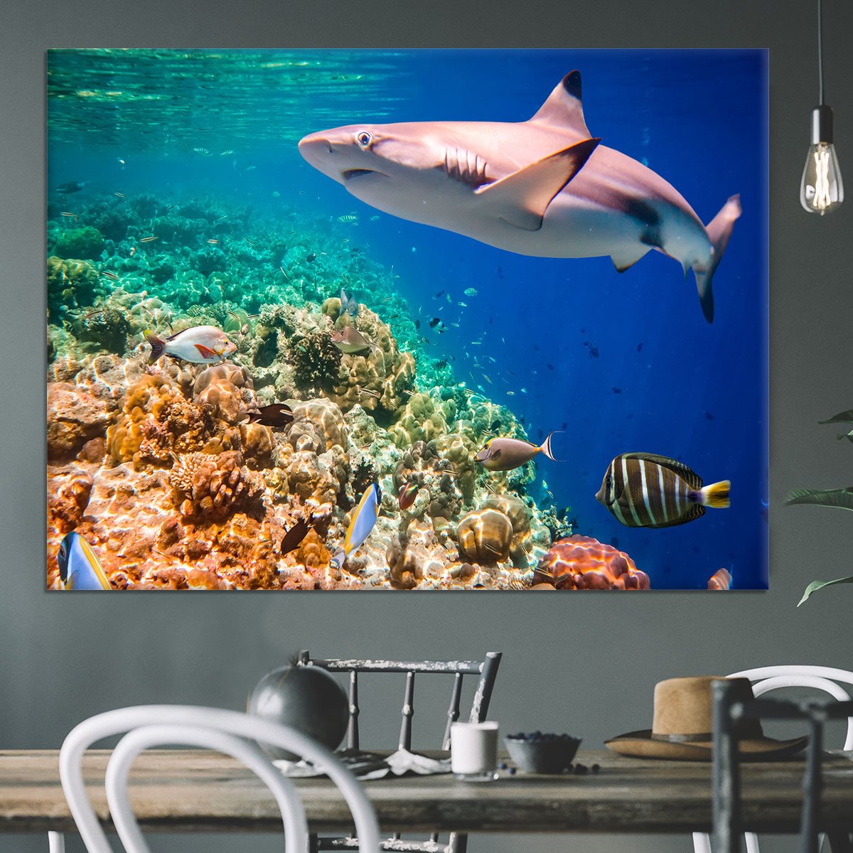 Maldives Indian Ocean coral reef Canvas Print or Poster