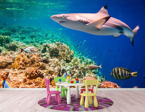 Maldives Indian Ocean coral reef Wall Mural Wallpaper - Canvas Art Rocks - 2