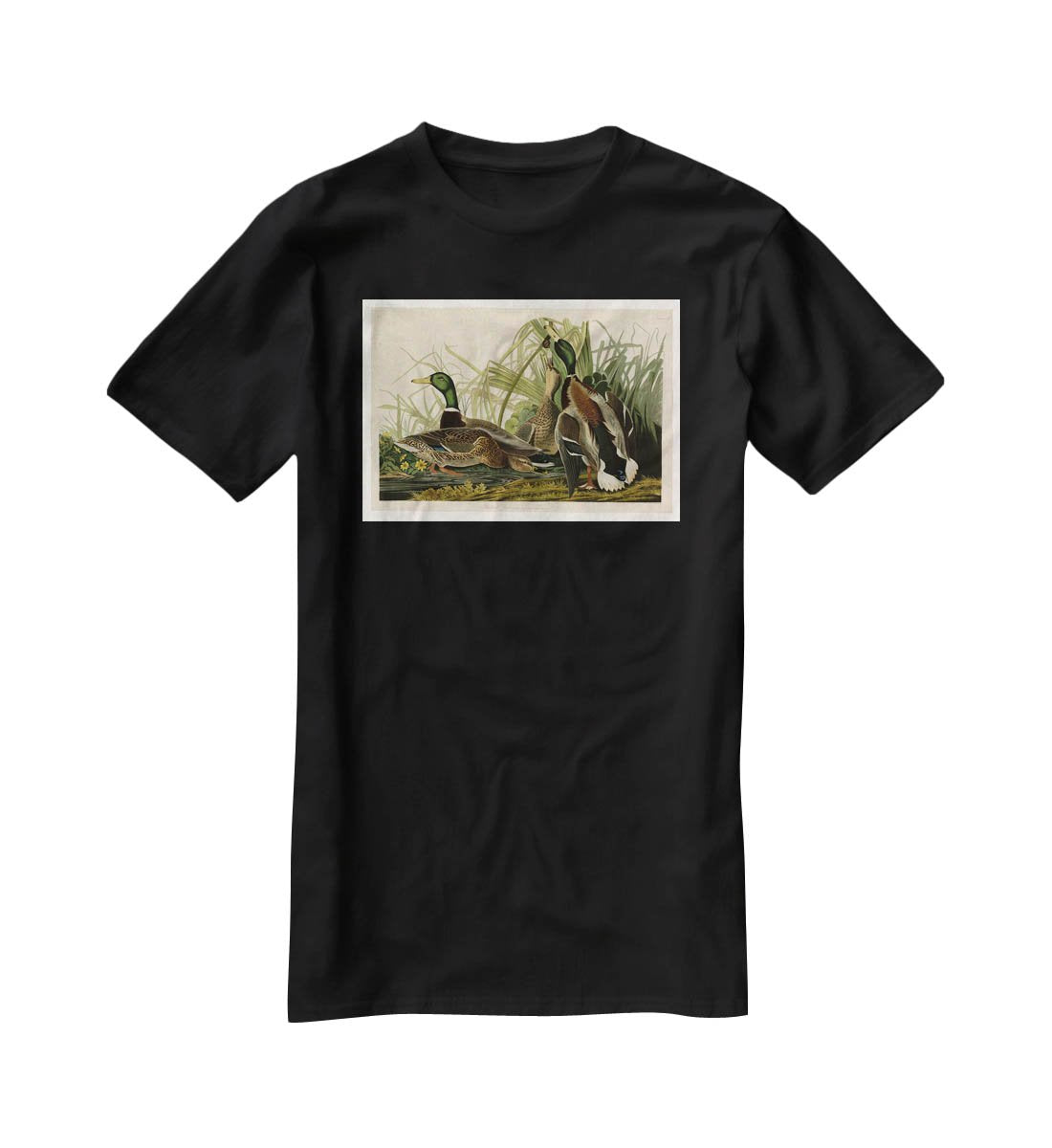 Mallard Duck by Audubon T-Shirt - Canvas Art Rocks - 1
