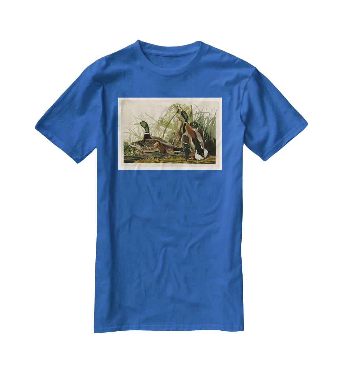 Mallard Duck by Audubon T-Shirt - Canvas Art Rocks - 2