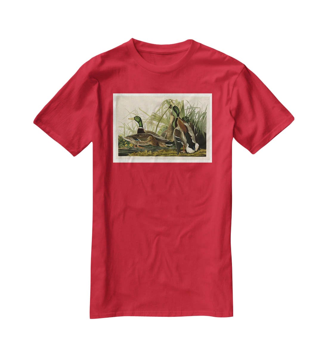 Mallard Duck by Audubon T-Shirt - Canvas Art Rocks - 4