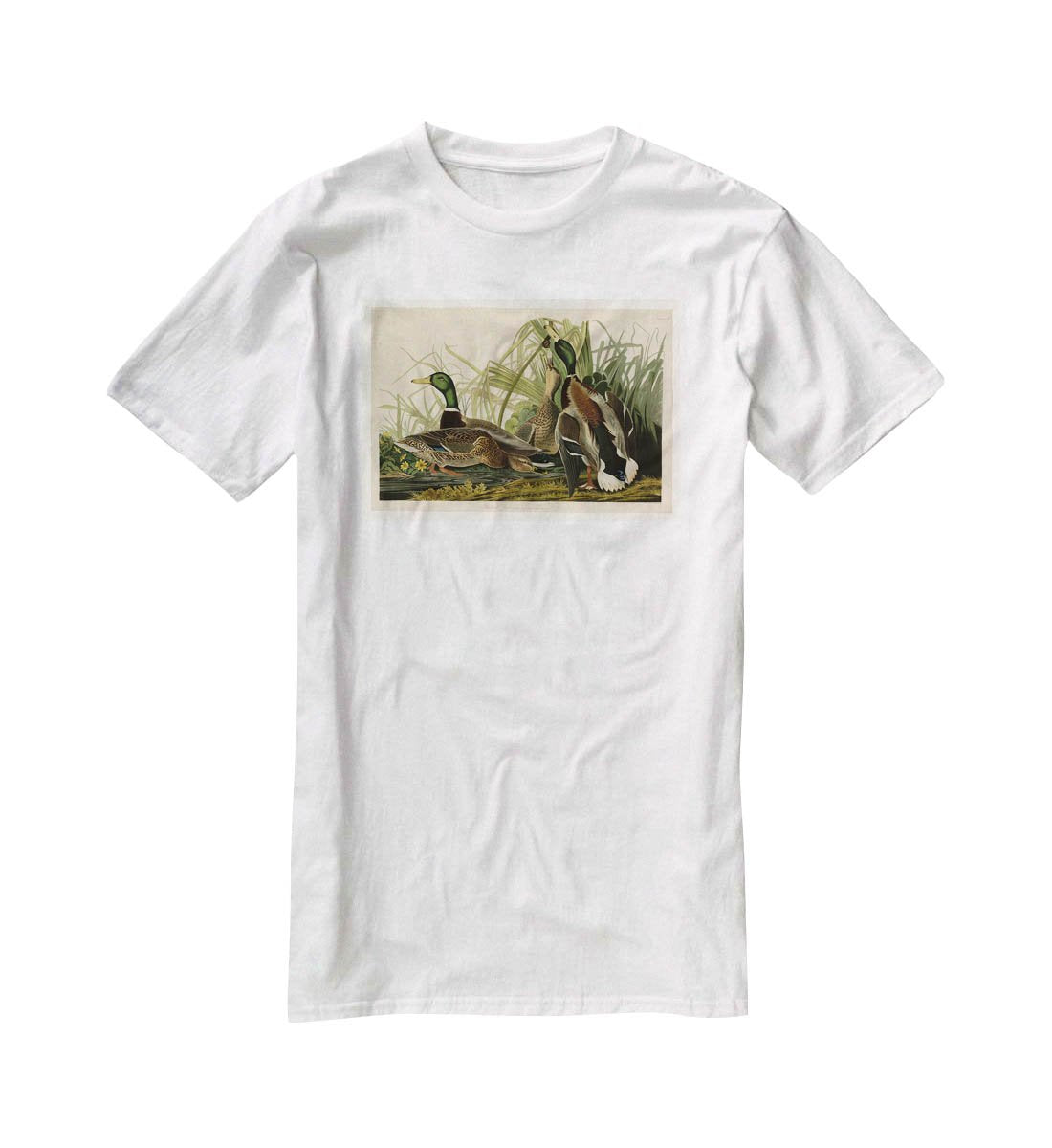 Mallard Duck by Audubon T-Shirt - Canvas Art Rocks - 5
