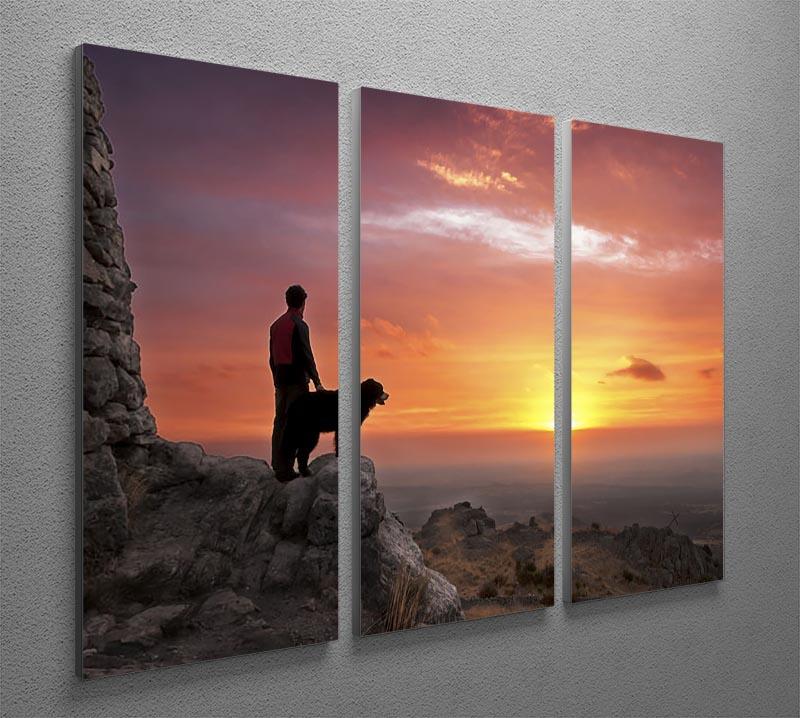 Man and his faithful companion 3 Split Panel Canvas Print - Canvas Art Rocks - 2
