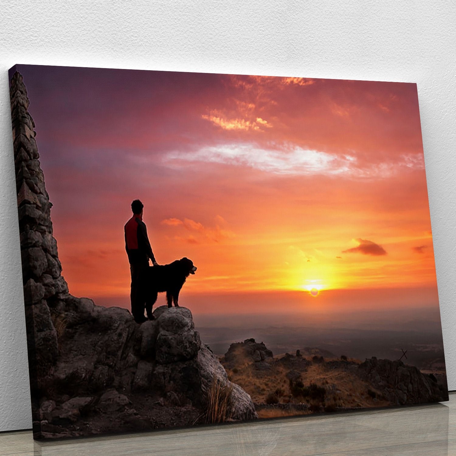 Man and his faithful companion Canvas Print or Poster