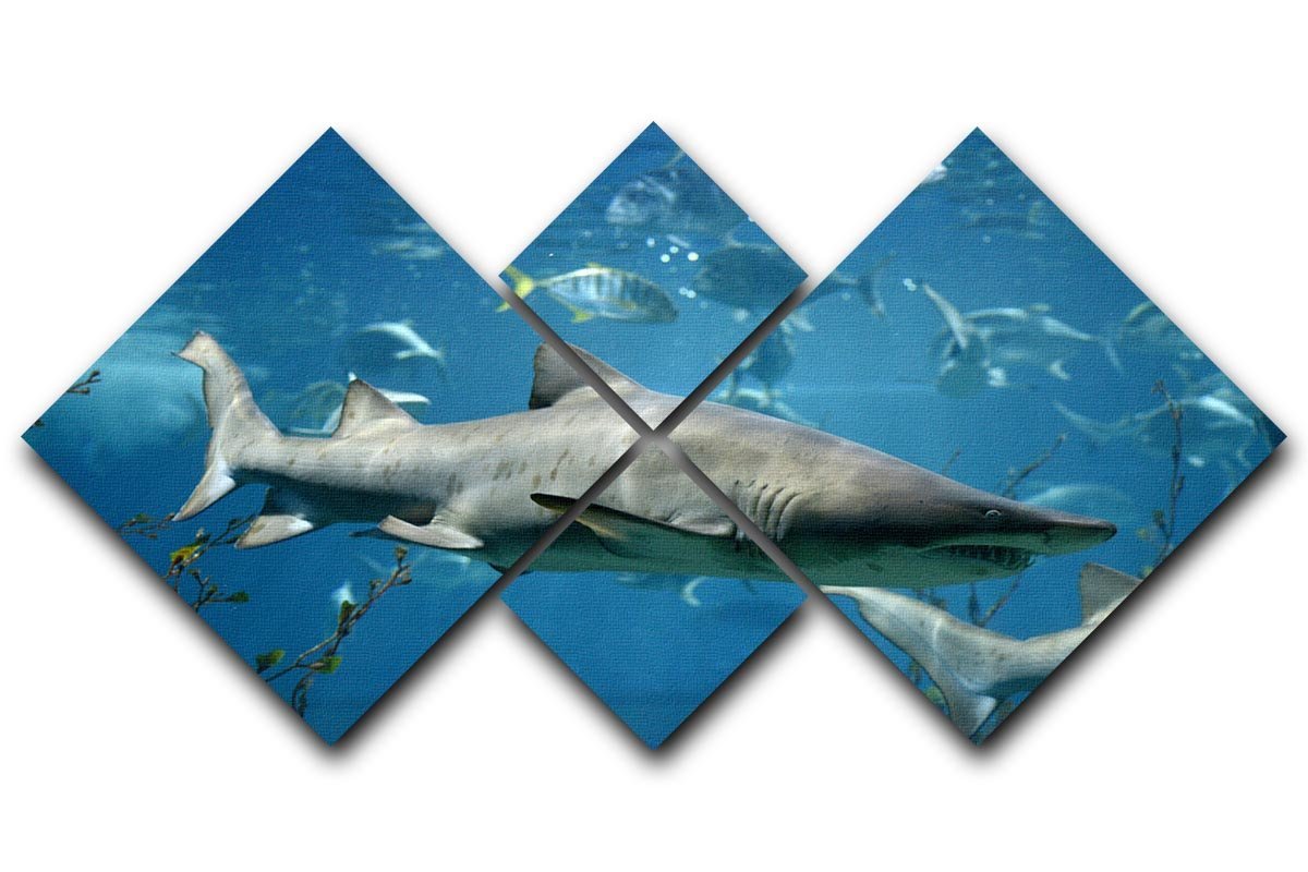 Marine fish underwater 4 Square Multi Panel Canvas  - Canvas Art Rocks - 1