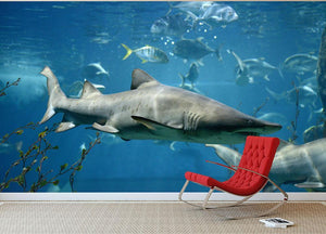 Marine fish underwater Wall Mural Wallpaper - Canvas Art Rocks - 3