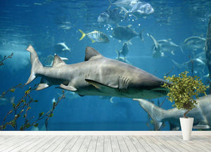 Marine fish underwater Wall Mural Wallpaper - Canvas Art Rocks - 4