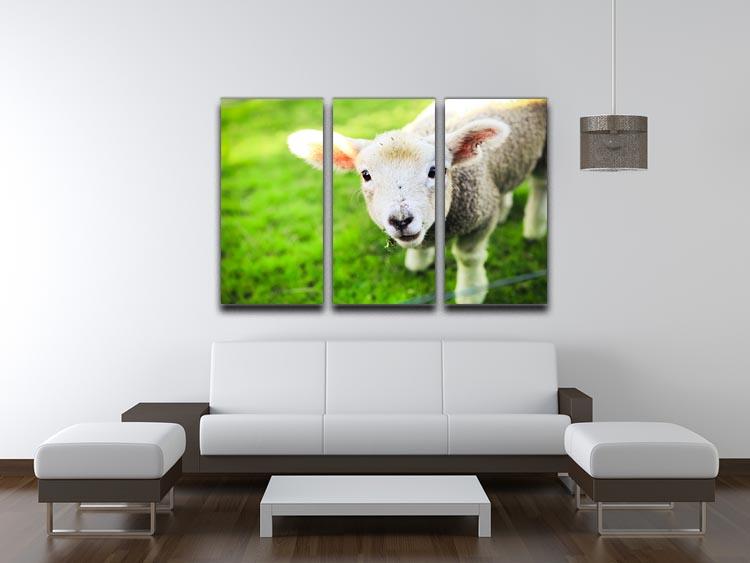 Mary had a little lamb 3 Split Panel Canvas Print - Canvas Art Rocks - 3