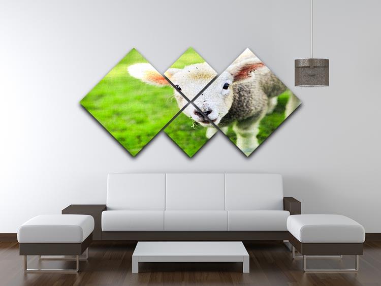 Mary had a little lamb 4 Square Multi Panel Canvas - Canvas Art Rocks - 3