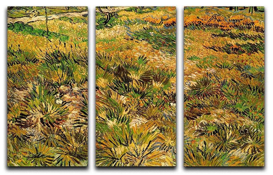 Meadow in the Garden of Saint-Paul Hospital by Van Gogh 3 Split Panel Canvas Print - Canvas Art Rocks - 4