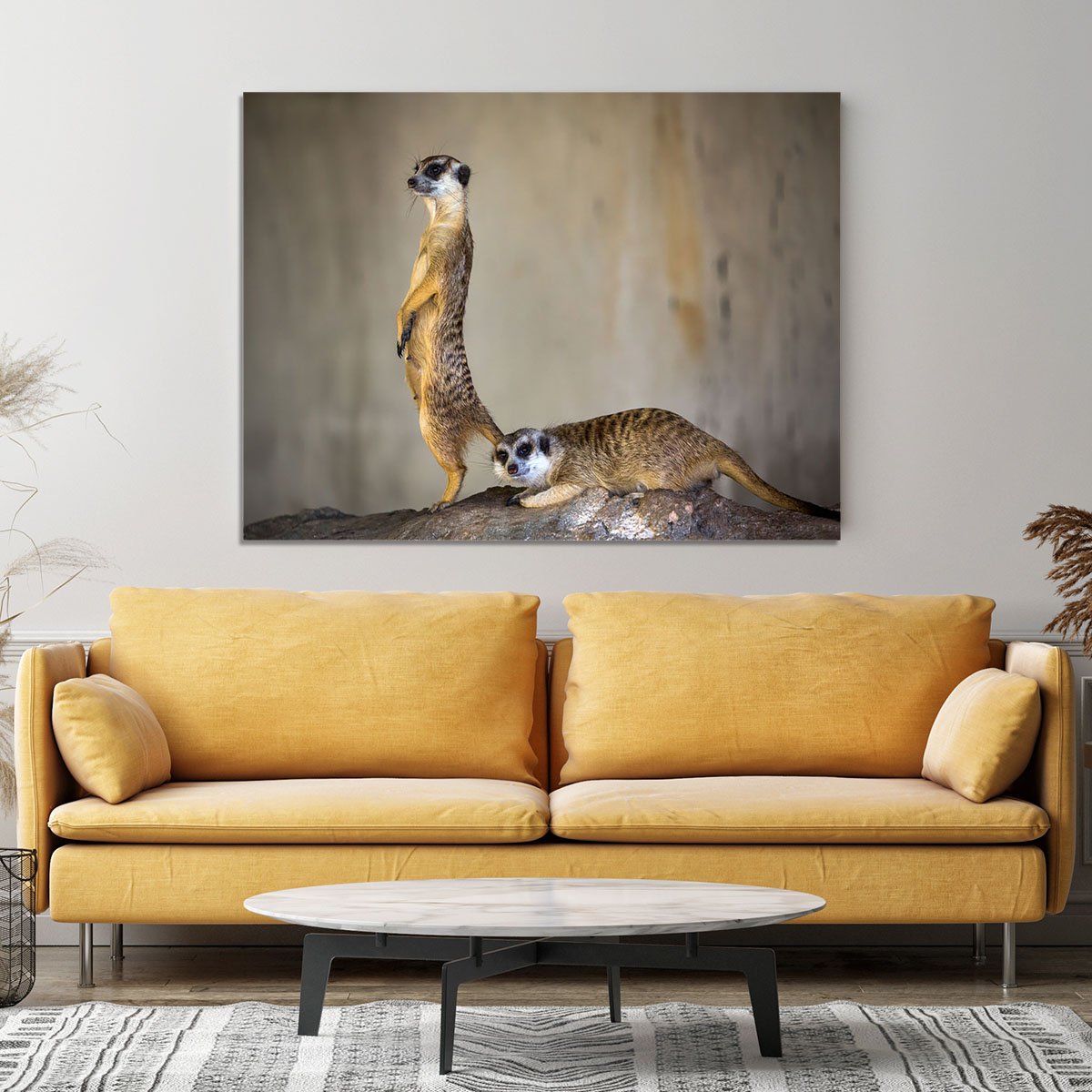 Meer Kat lifeguard stand Canvas Print or Poster