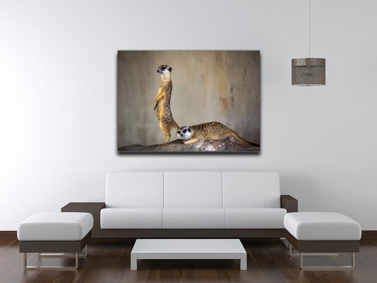 Meer Kat lifeguard stand Canvas Print or Poster - Canvas Art Rocks - 4