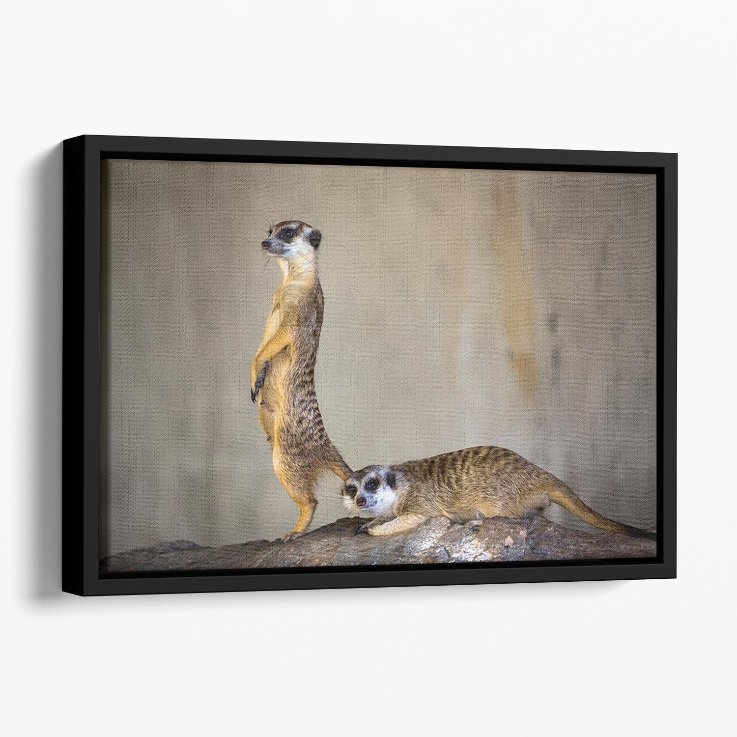 Meer Kat lifeguard stand Floating Framed Canvas - Canvas Art Rocks - 1