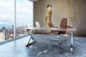 Meer Kat lifeguard stand Wall Mural Wallpaper - Canvas Art Rocks - 3