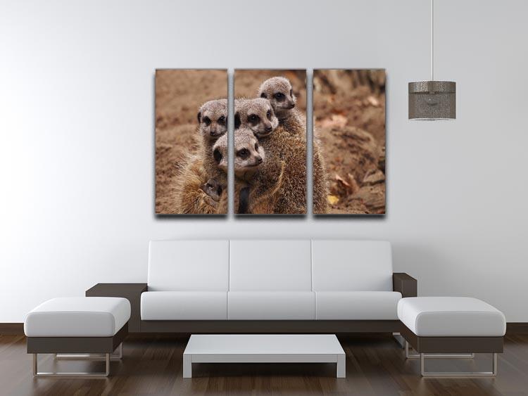 Meerkat family 3 Split Panel Canvas Print - Canvas Art Rocks - 3