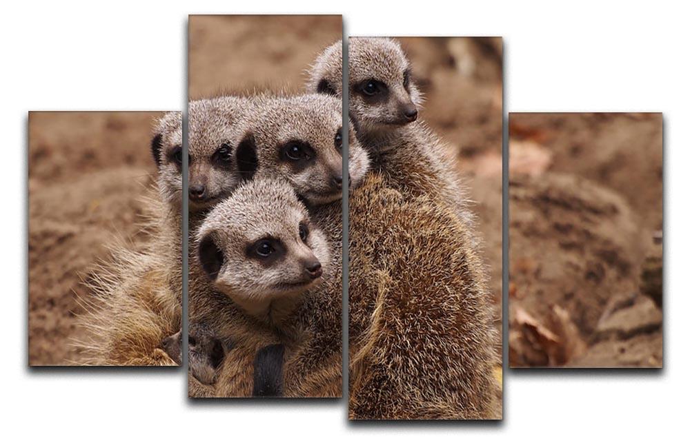 Meerkat family 4 Split Panel Canvas - Canvas Art Rocks - 1